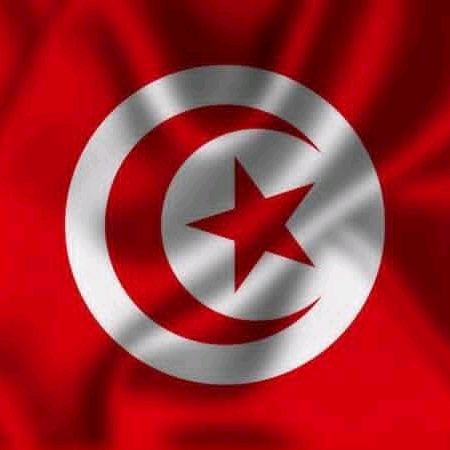 صقر الجنوب