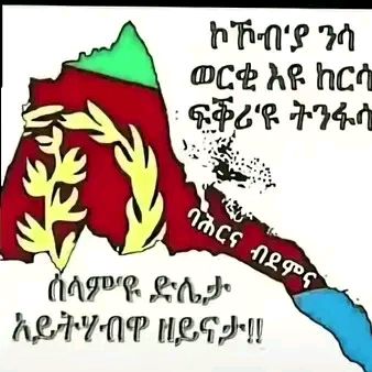 wele Ghide kings 👑🇪🇷🐘🌴