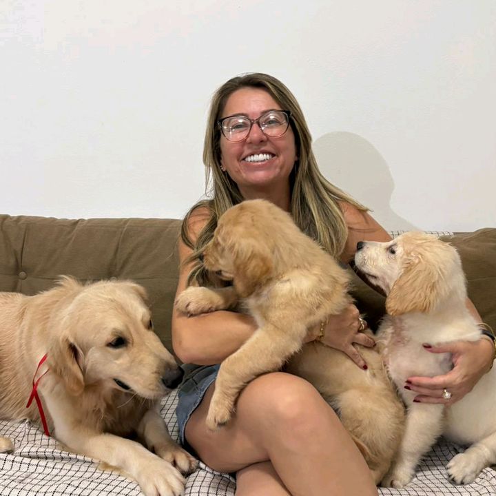 Chico, Bela e Sol 🐾❤️