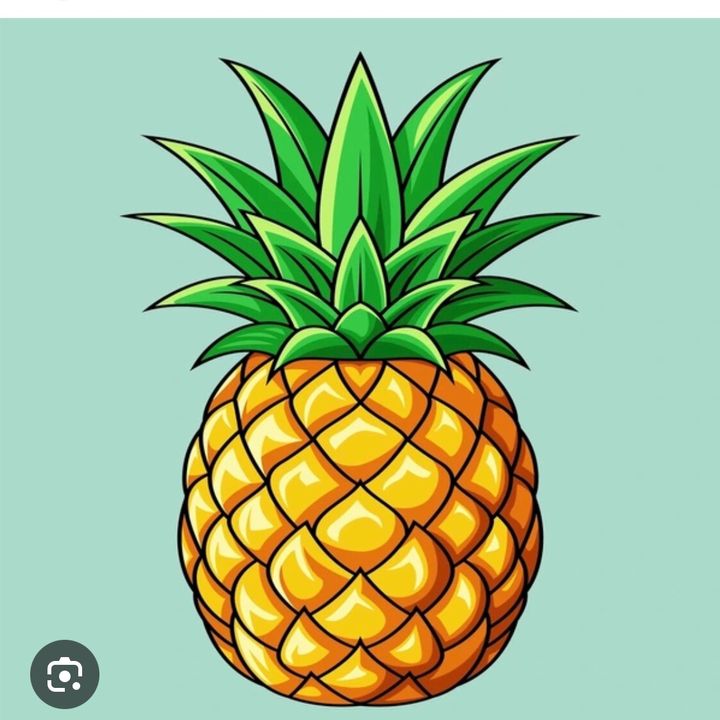 PineappleFinds