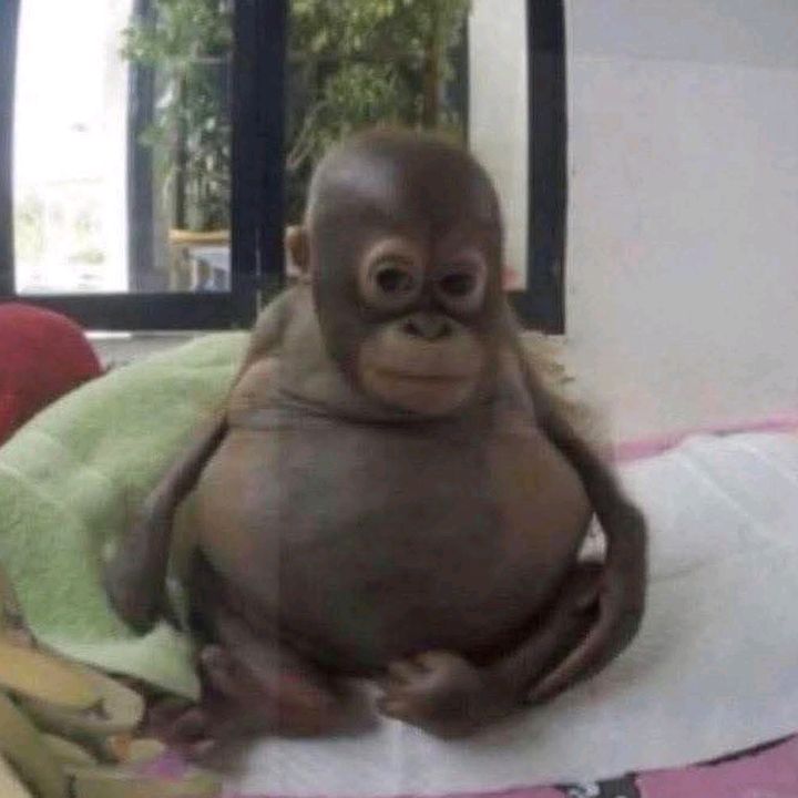 ︽𝓔𝓵 𝓶𝓮𝔁𝓲𝓬𝓪𝓷𝓸 👺