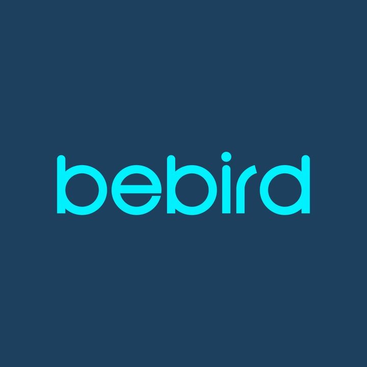Bebird Visual Ear Cleaner