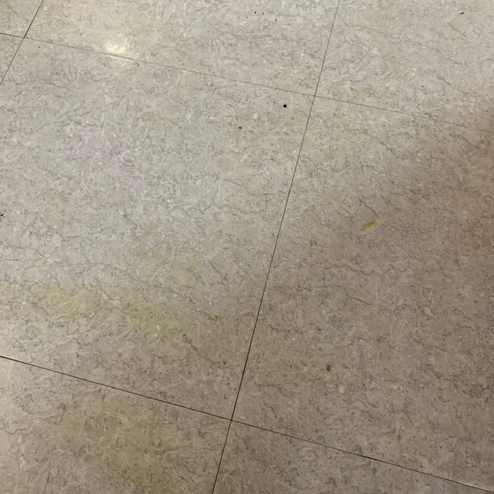 退会済み