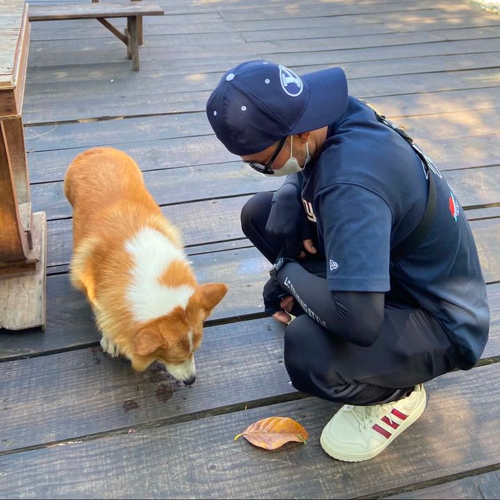 Hướng nội mỏ hỗn