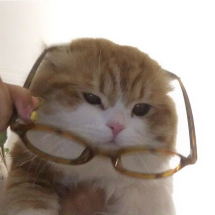 ijmovw5