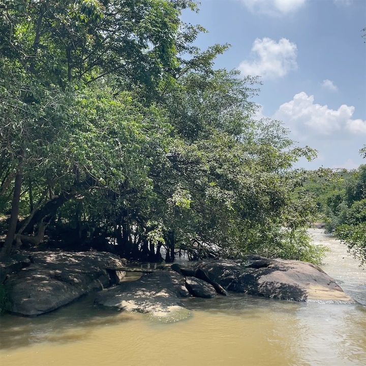 đi siêu thị