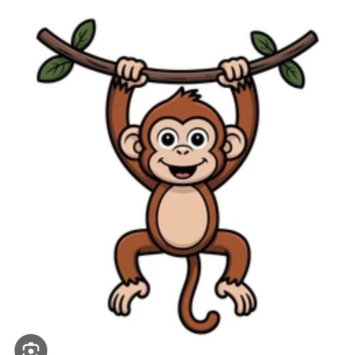 Monkey🐵