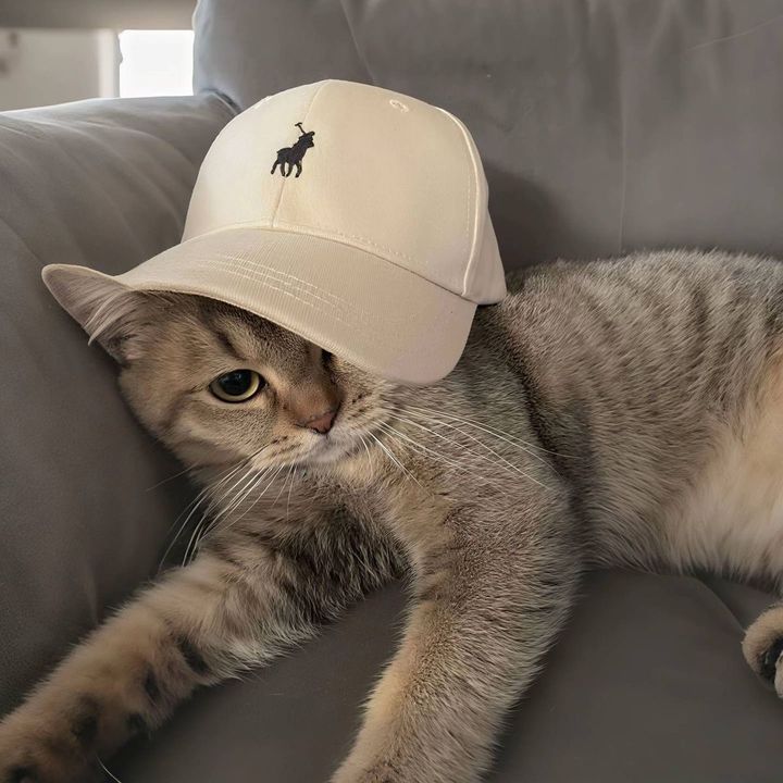 Mieka