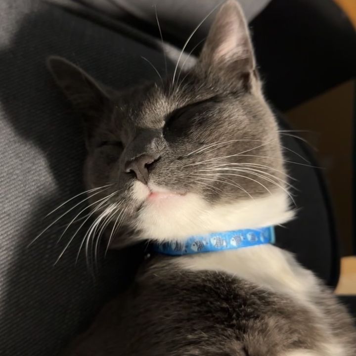Bubba