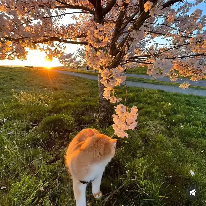 たからのいっぴん