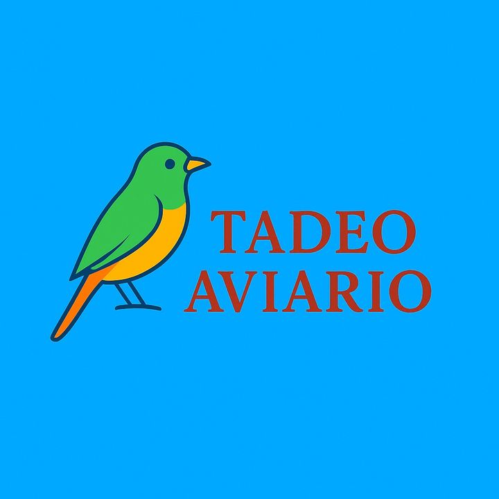 Miguel Tadeo