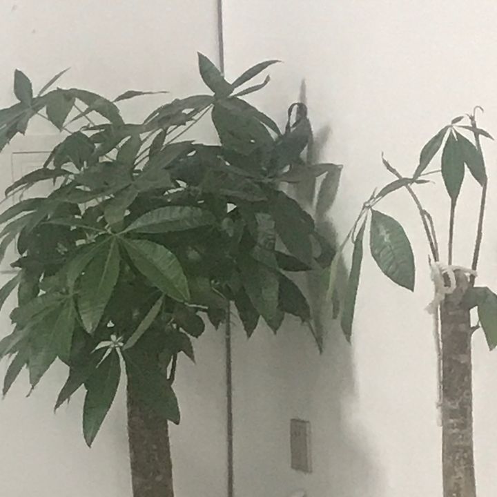 l9aytd8