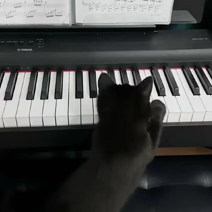 Mouse music