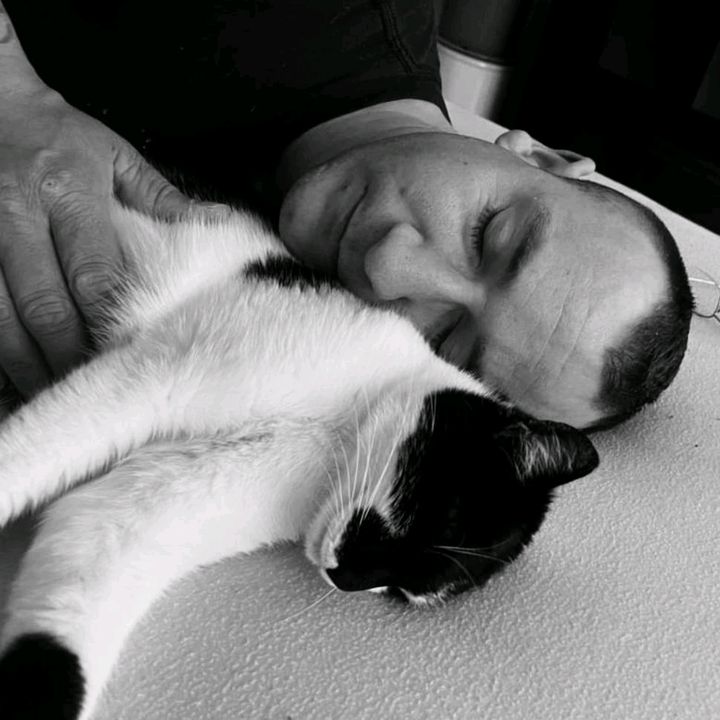 Catdad