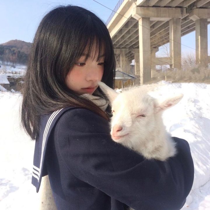 さくら