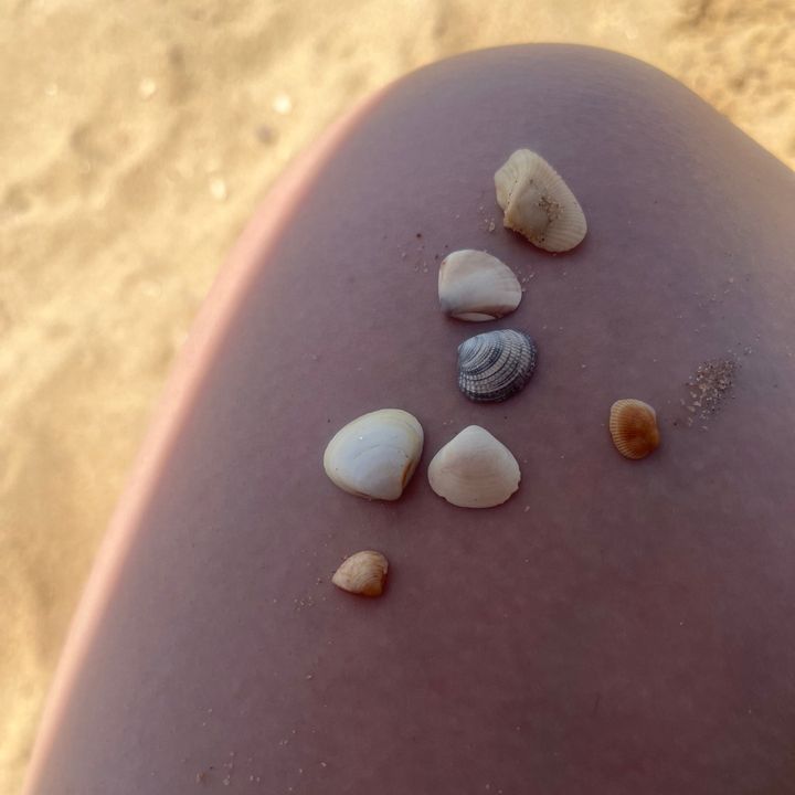 AmandaC