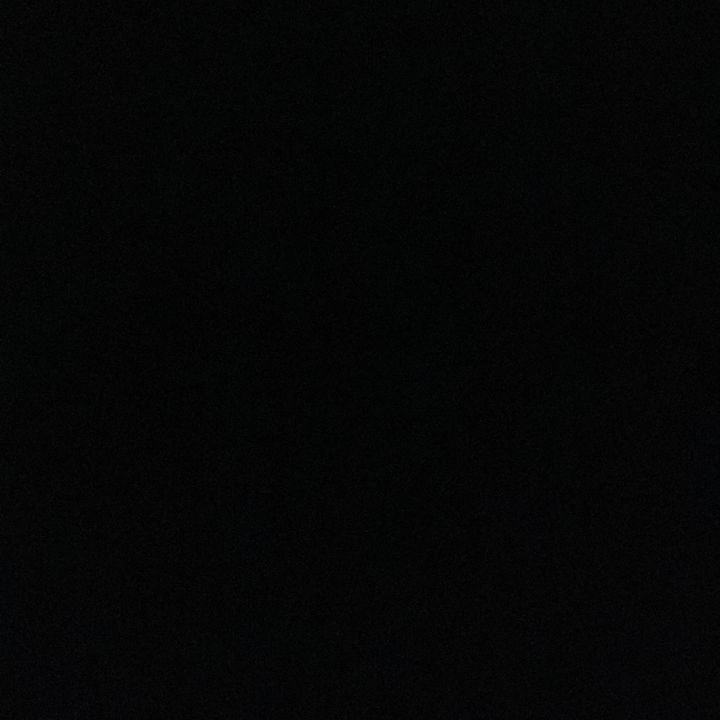 🕷️