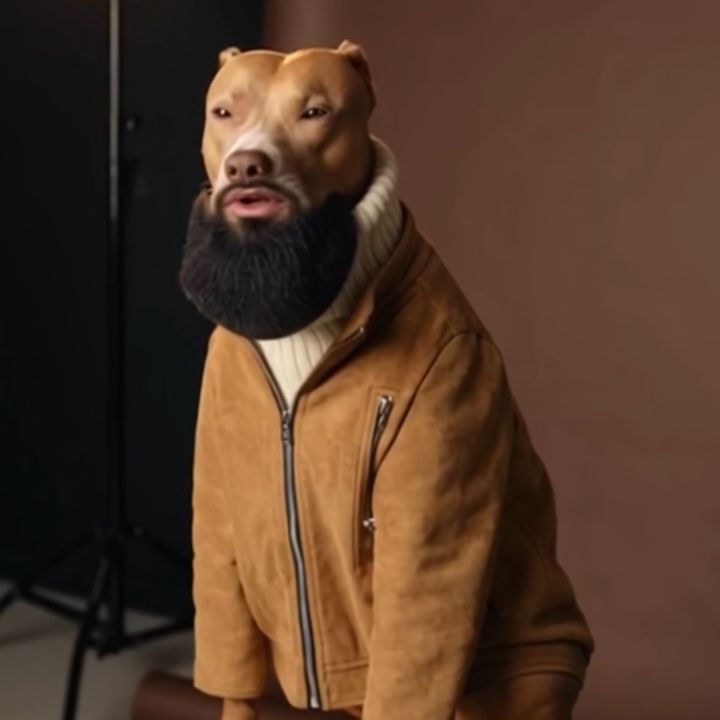 el viejo sam