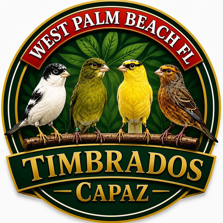 timbrados_capaz