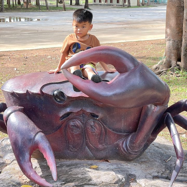 สกาย.
