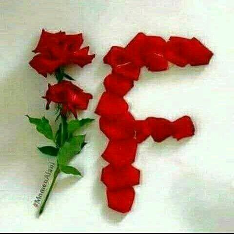 👑fayzza👑berkania👑