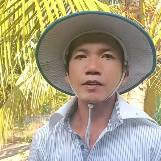 Minh hoàng