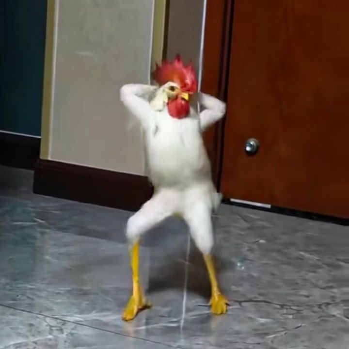 👆