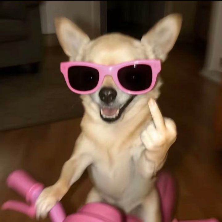👆👆