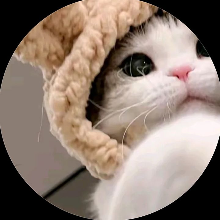 packi