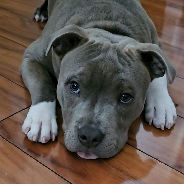 Zuki ❤️