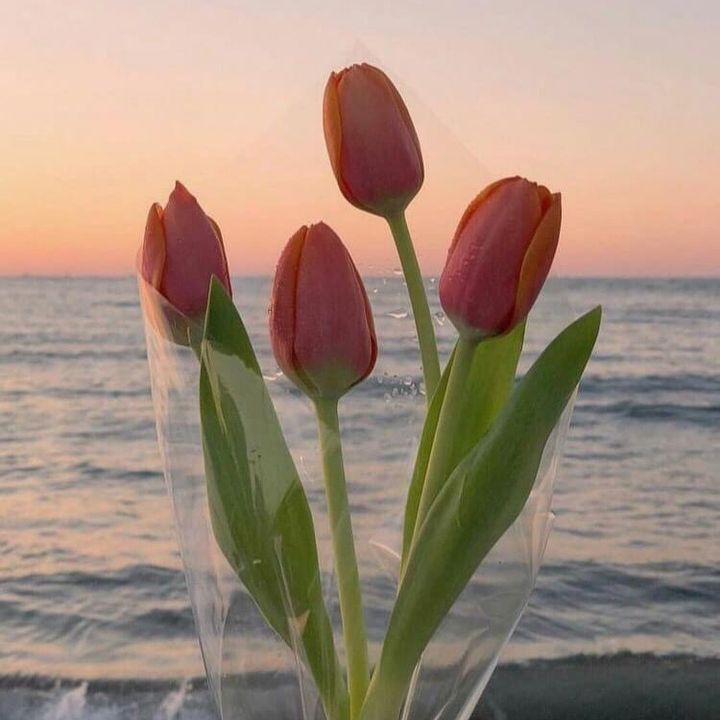 sweety ᥫ᭡.