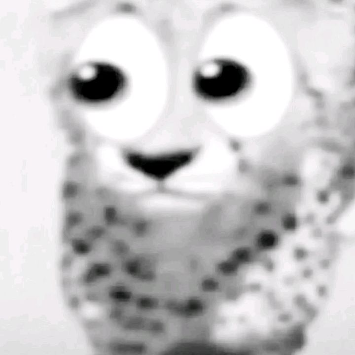 𝕾𝖙𝖚𝖕𝖎𝖉Ⓟ