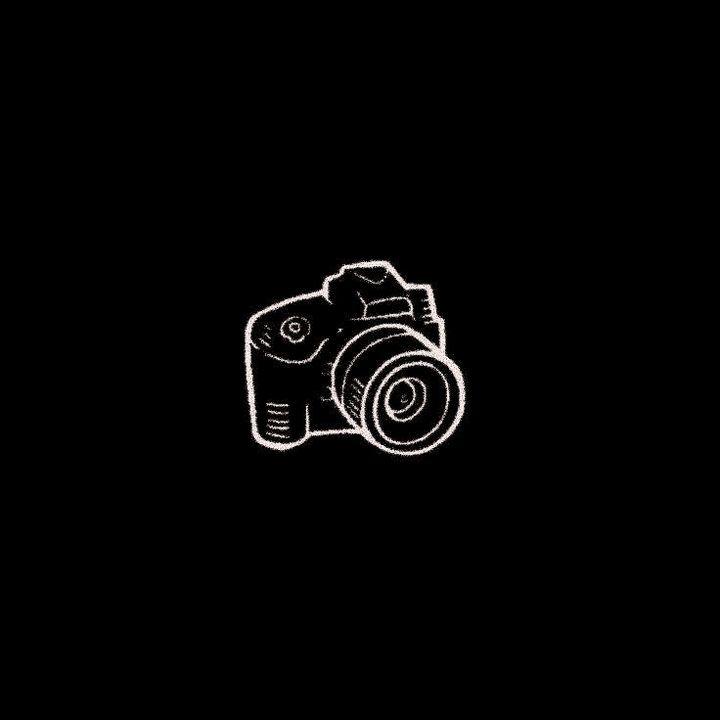 Pedro Highlights