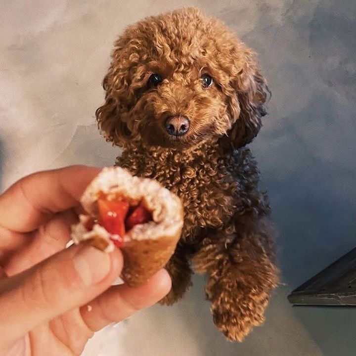 Luca❤️