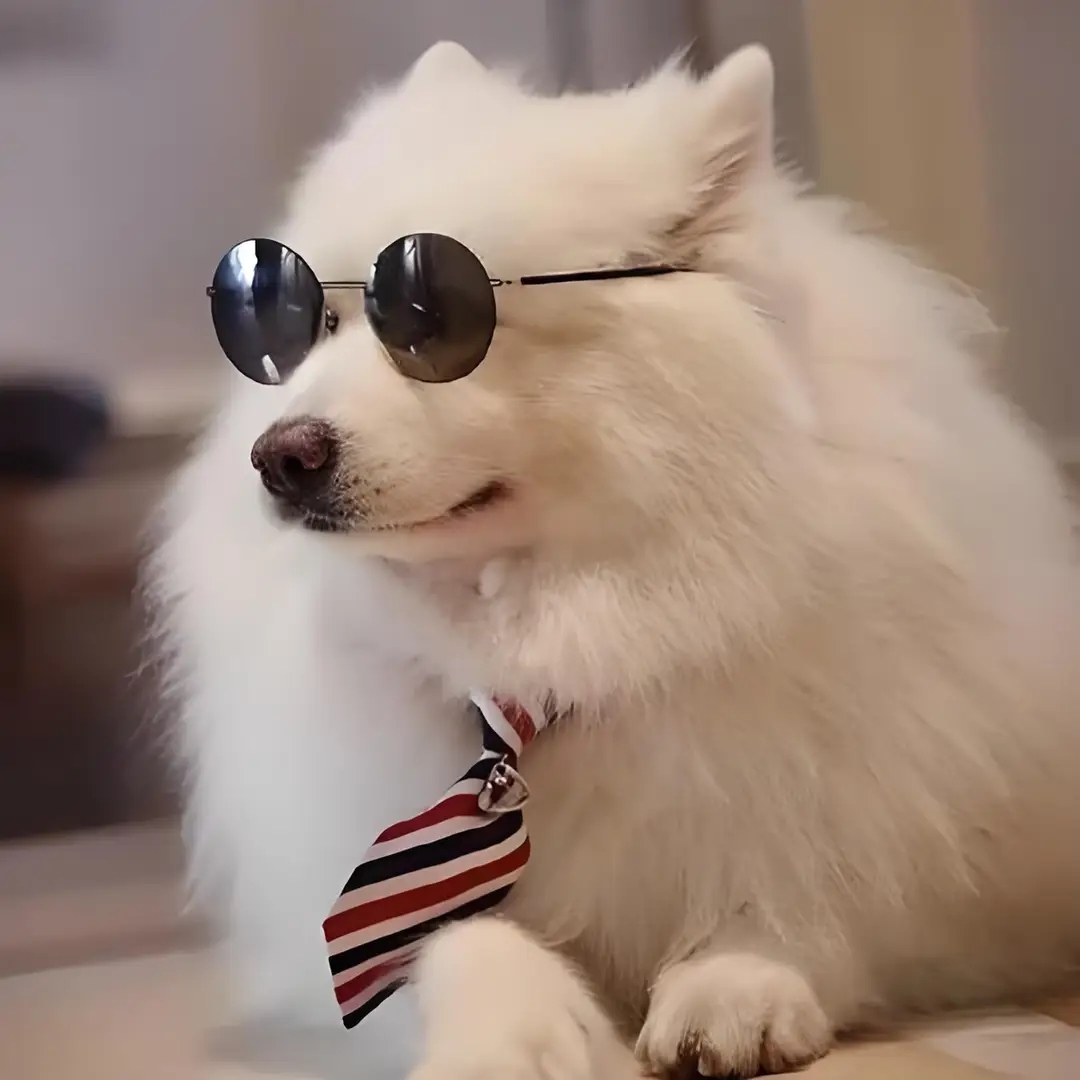 _techpaws