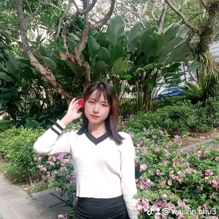 Wai Zin Chue🇸🇬🇸🇬💗💗