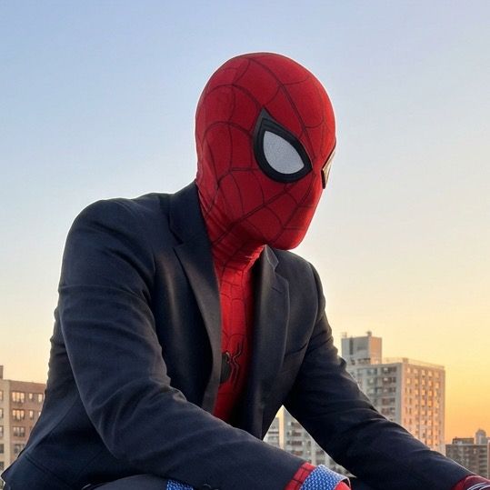 Mr spider 6767