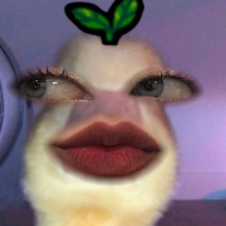 Anaaana