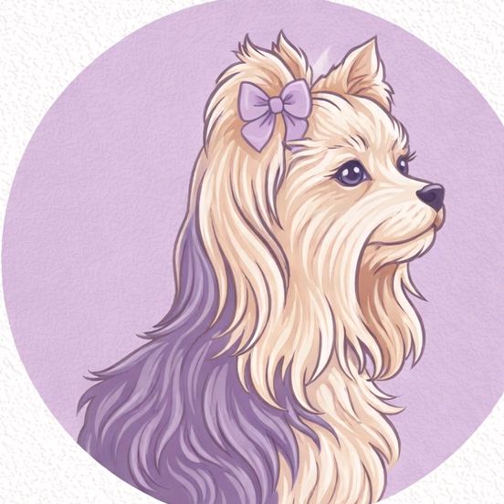 Samy |Pet News & Dicas