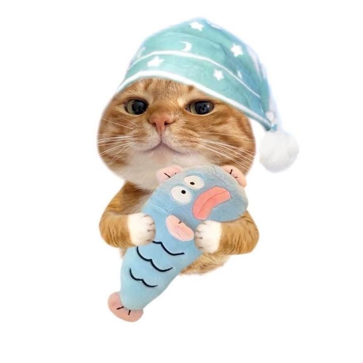 แมวน้อยยยยย🐱