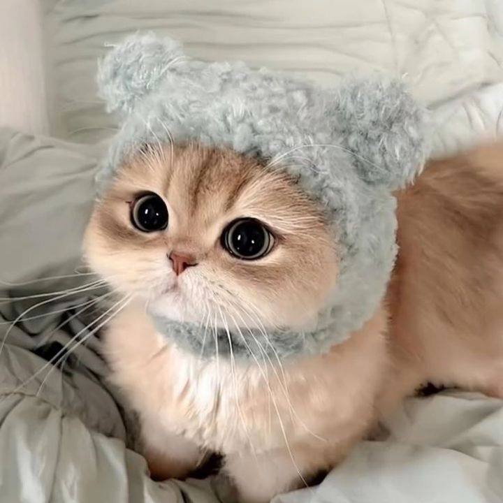 blushinnyyyyyyy