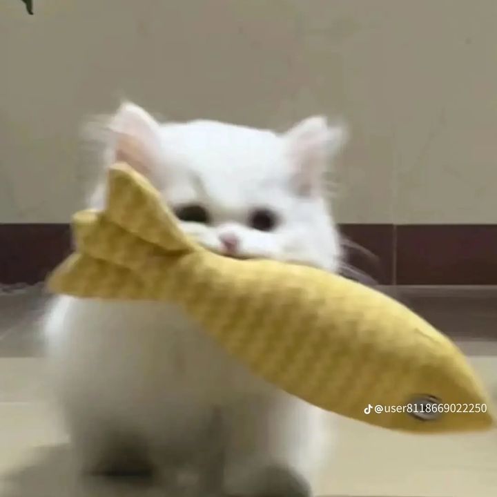 qwe