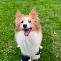 Bella