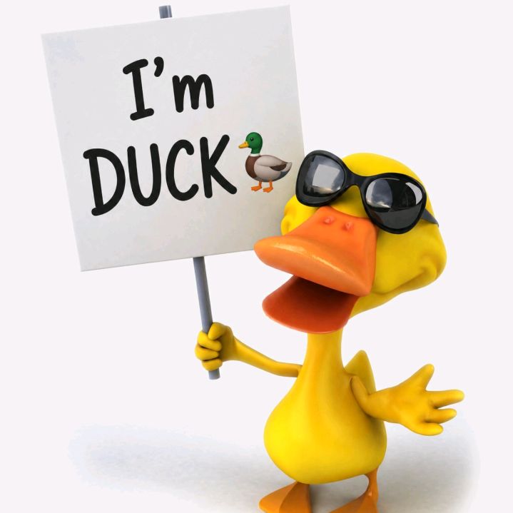 DUCK🦆
