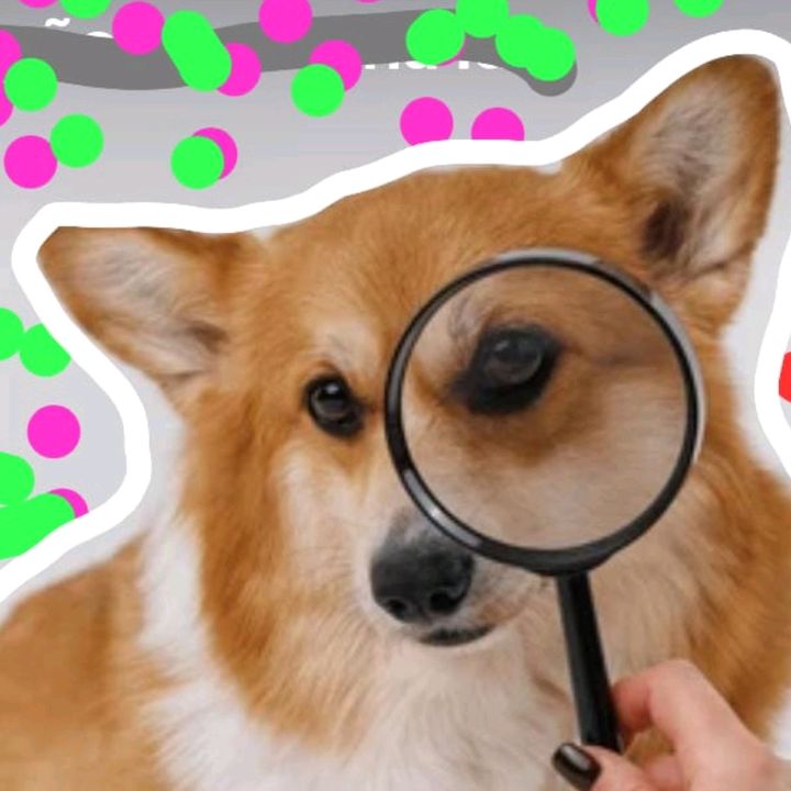 RisadaAnimal