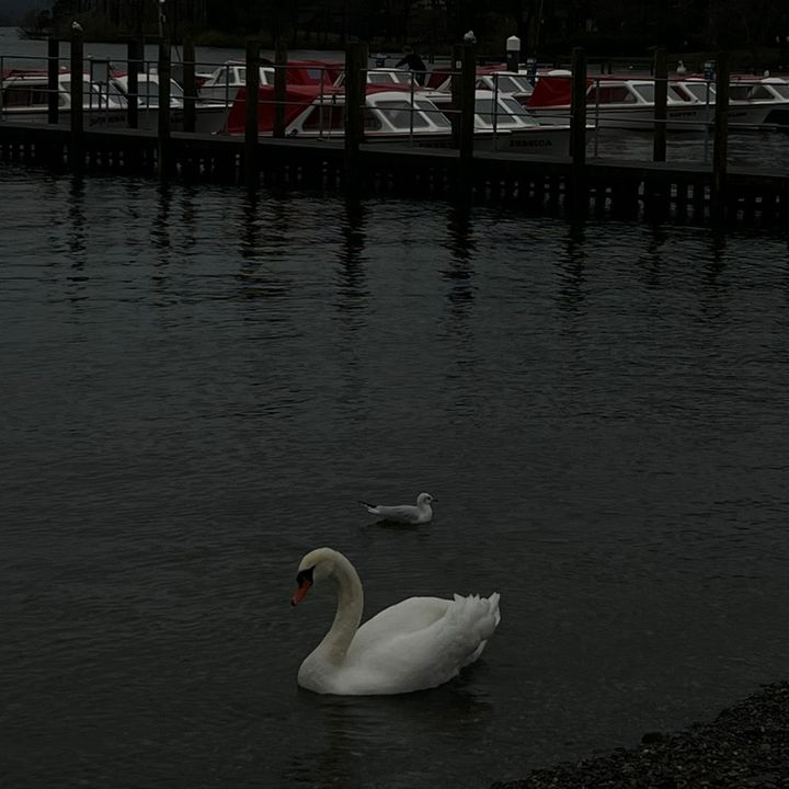 _losttogether_