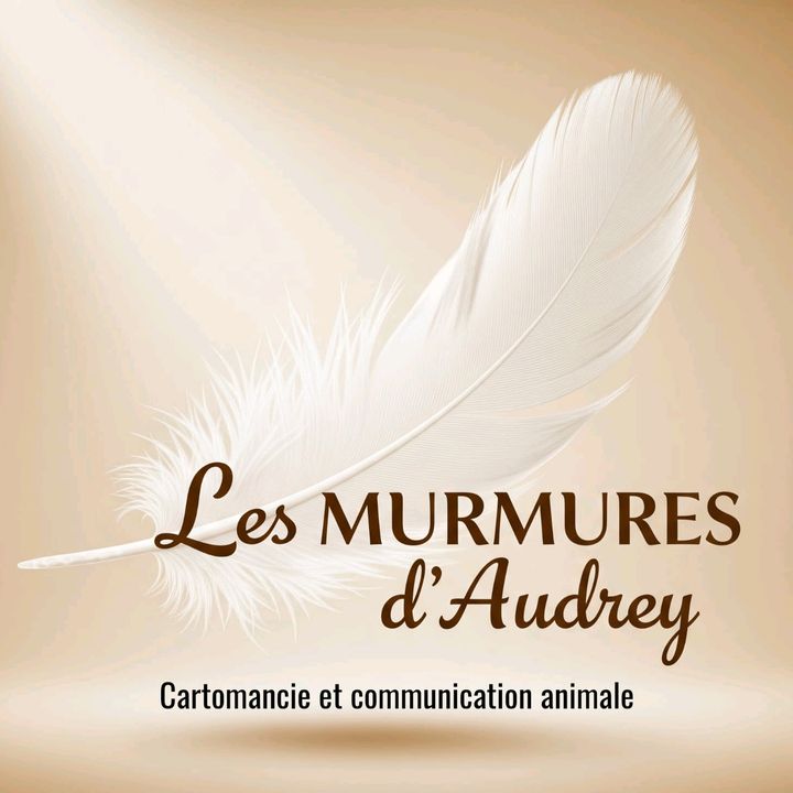 💫Les murmures d'audrey