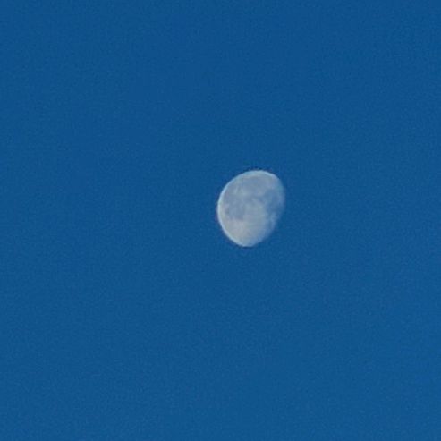 Moonira