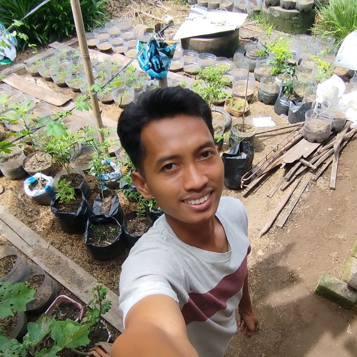 Kebun Mas Edi