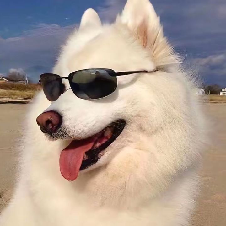 dxgi
